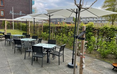 Afbeelding Tuin winterklaar maken